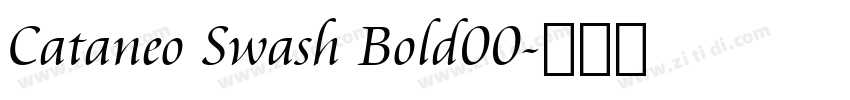 Cataneo Swash Bold00字体转换 Cataneo Swash Bold00字体转换